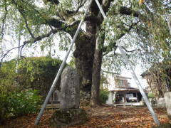 �������q