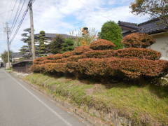 ���h�Ȋ_��