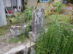 �n���ϐ���