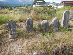 �n���ϐ����Q