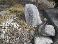 �n���ϐ���