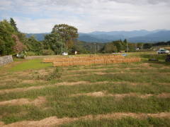 �V������