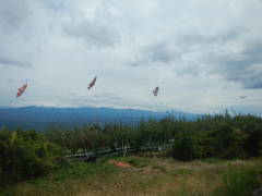 �X�Y������